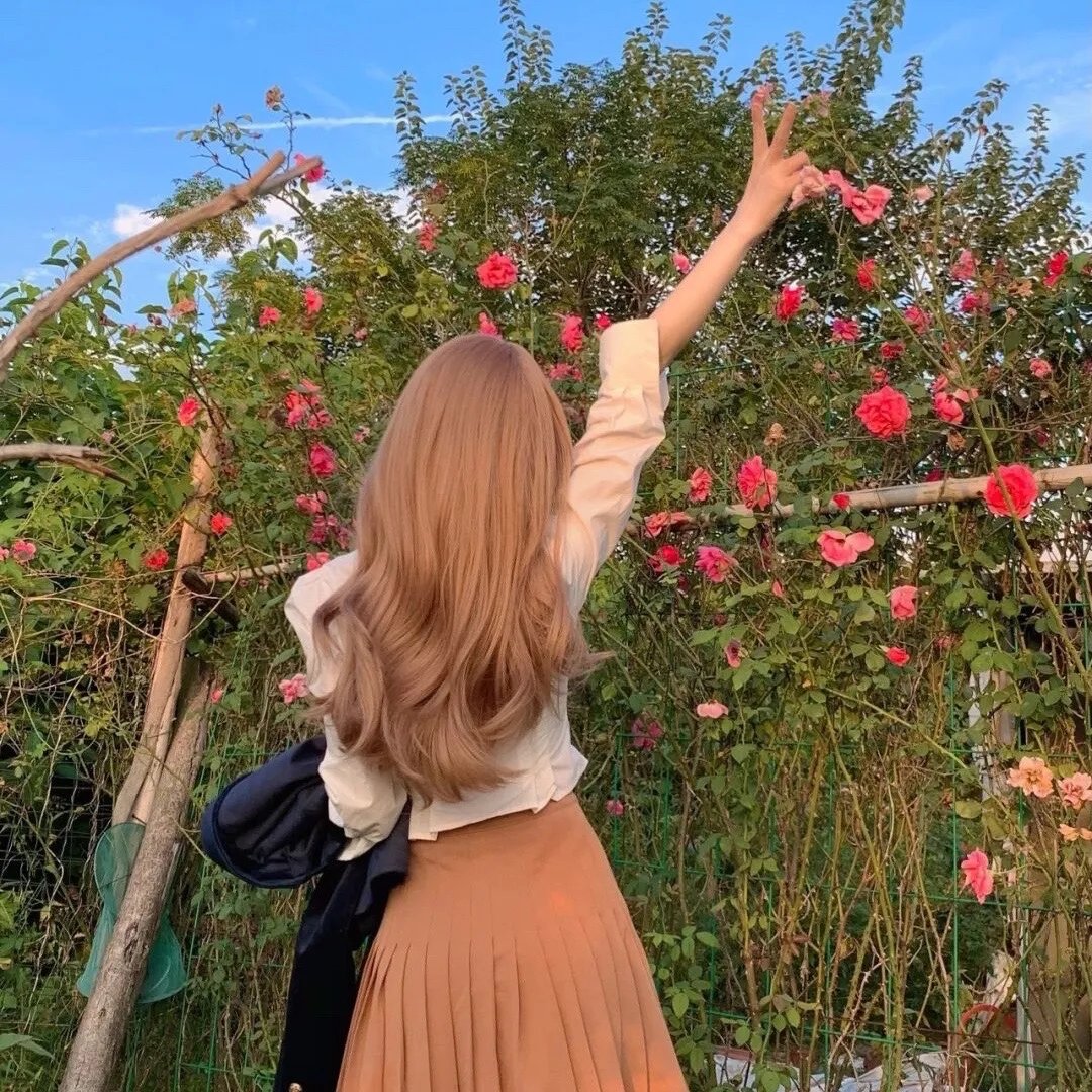 阿尔法：狼伴归途