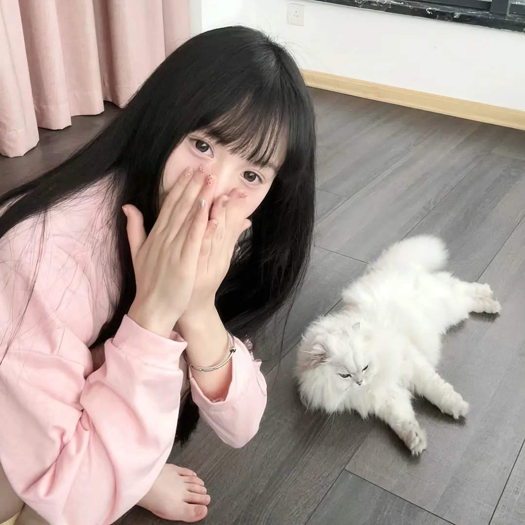 关于养猫我一直是新手