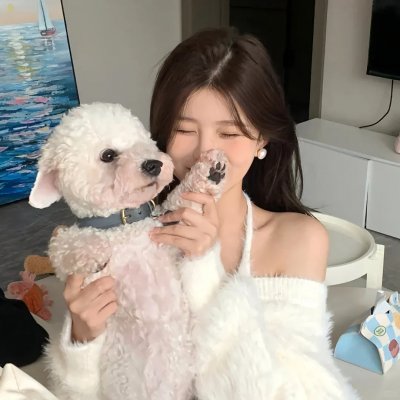 小小圣手定乾坤