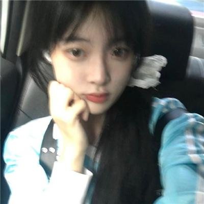 野蔷薇与多金先生